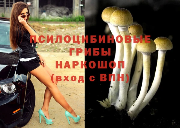сатива Нефтегорск
